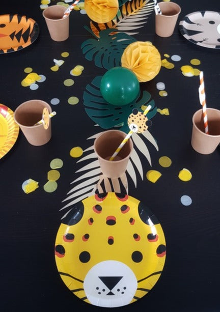 Boîte Anniversaire Petits Félins