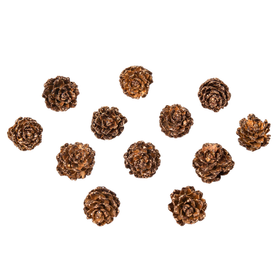 Mini Pommes de Pin Paillettés chocolat