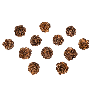Mini Pommes de Pin Paillettés chocolat