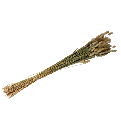 Bouquet de Lagurus